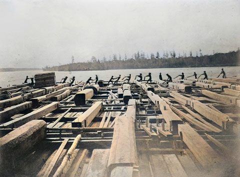 Les cageux à la manœuvre sur leur cage