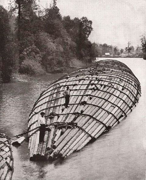 Un train de bois Benson sur le fleuve Columbia, Oregon